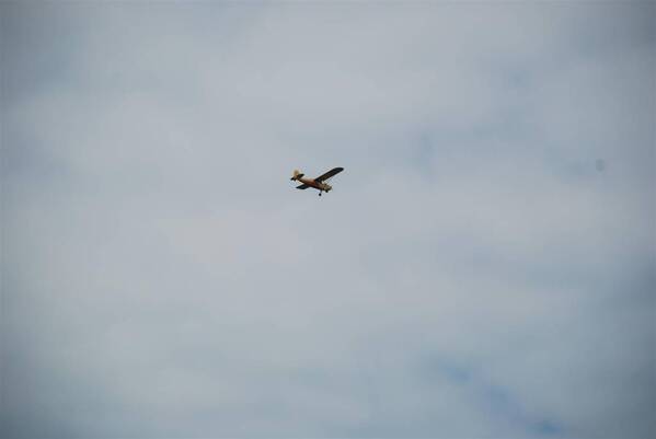 DSC_9377_Large_.JPG
