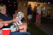 Filename=DSC_0244.JPG
Filesize=270KiB
Dimensions=2048x1365
Date added=Jul 31, 2024 DSC_0244.JPG